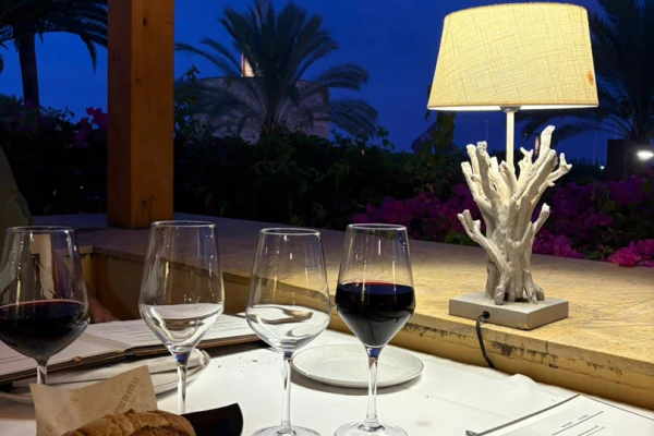 Diner bij Restaurant Ceferino met uitzicht op palmbomen