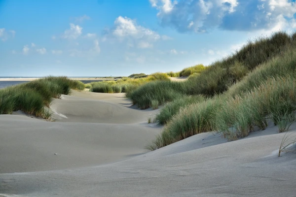 Top 5 outings in North Holland