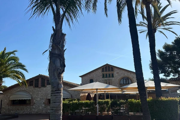 Restaurant en terras tussen palmbomen op Vilanova Park